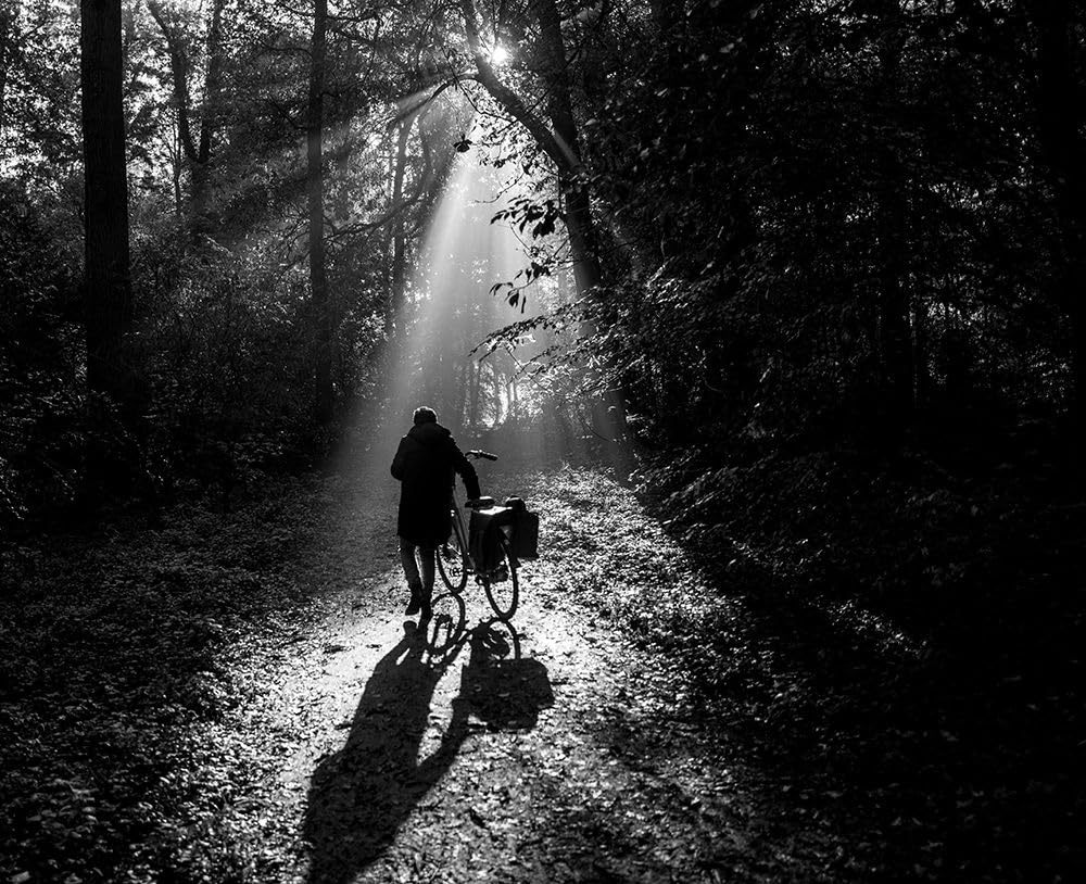 Early Poster Print - Arjo (24 x 18)