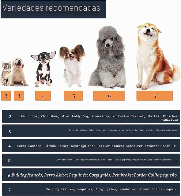 Foto 5 de 6 de YAODHAOD Protector de Pata de Botas para Perros, Zapatos para Perros Antideslizantes