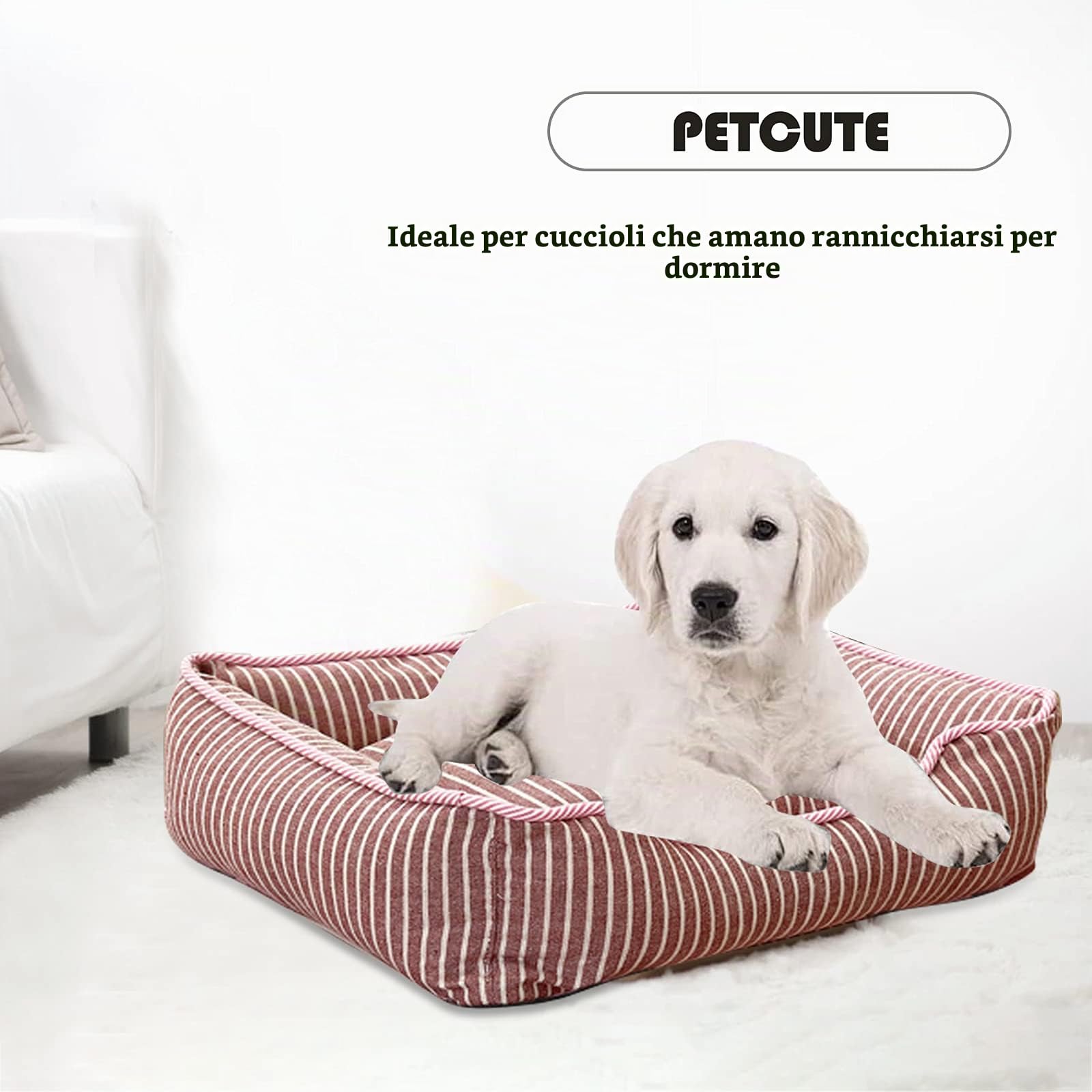 PETCUTE Cesto per cani durevole e confortevole, lavabile con cuscino per cani e gatti, lavabile in lavatrice, traspirante letto per cani con antiscivolo basso, con coperchio rimovibile