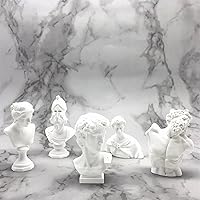 BIUBIUGO Mini 2.7" Greek Bust Statues Set: Resin Sculptures of David, Venus, St. George, Athena, Laocoon for Home Decor