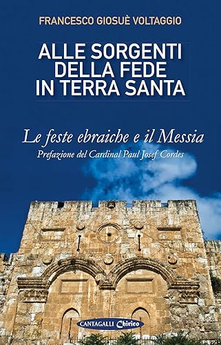 Alle sorgenti della fede in Terrasanta. Le feste ebraiche e il Messia (Vol. 1)