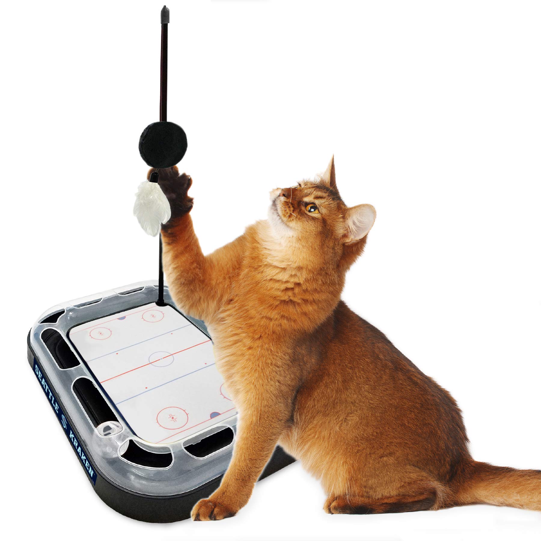 Amazon.com: Cat Scratching Toy Hockey Field ICE HOCKEY RINK Cat