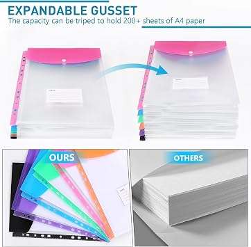 Lychico Plastic Wallets A4 Punched Pockets (12 Pack), 11 Holes Expandable Binder Folders for 2/3/4 Ring Document Pouch with Snap Button & Label Loose-Leaf Transparent for Office School Home