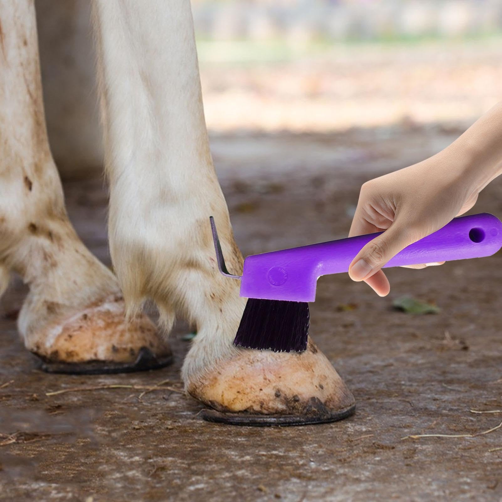 Selección De Pezuñas De Caballo - Cepillos Y Pulidor De Pezuñas De Caballo 2 En 1 | Púa De Pezuña Colorida Con Mango Ergonómico Para Suministros De Limpieza Y Aseo De Caballos Para Niños Y Niñas