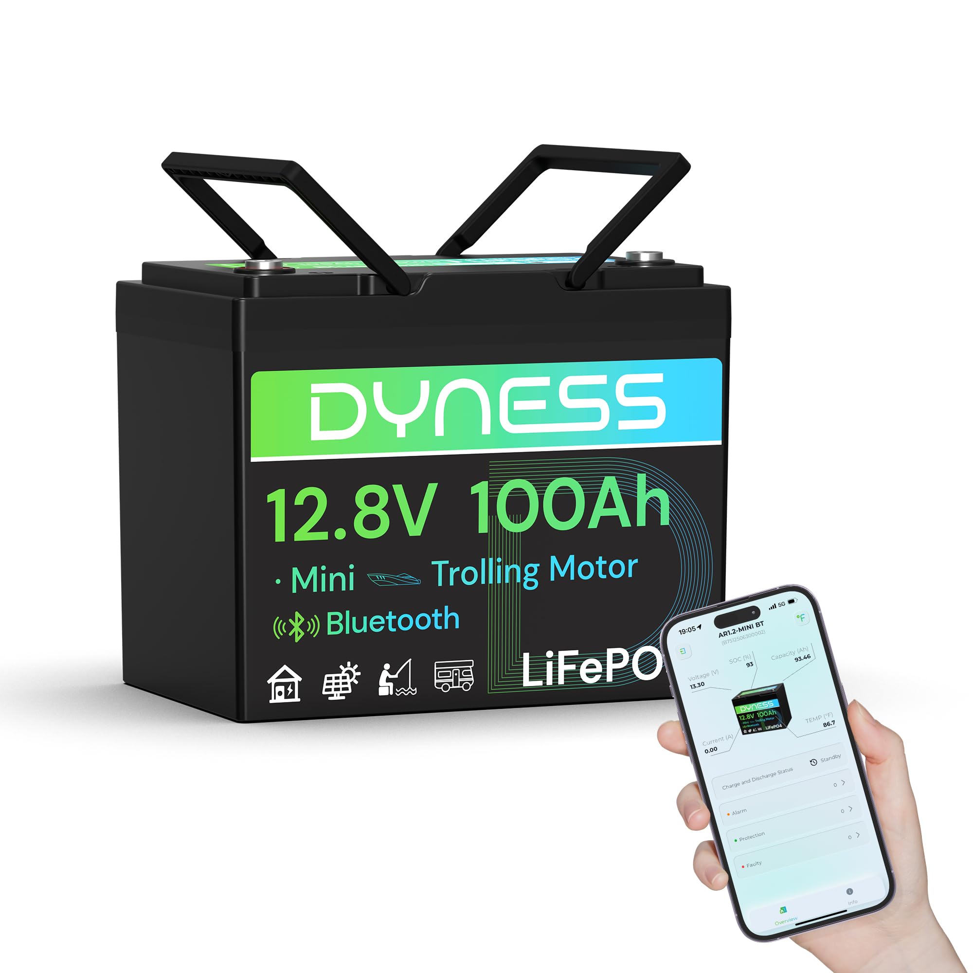 Dyness Batteria LiFePO4 12V 100Ah Bluetooth, Mini Batteria al Litio con BMS 100A, Protezione a Basse Temperature, per Nautica, Camper, Impianti Solari off-grid