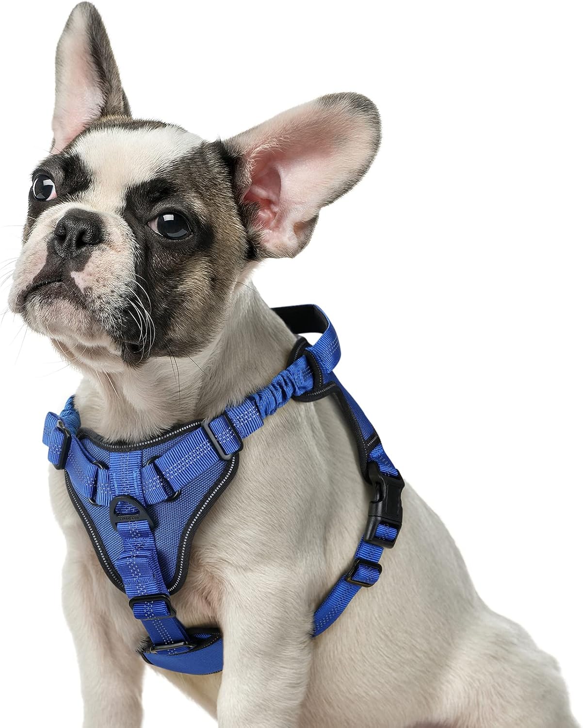 rabbitgoo Dog Harness, No Pull Dog Vest for Large Dogs with Bungee Shoulder Straps, Reflective Dog Walking Harness with Handle & 2 Metal…