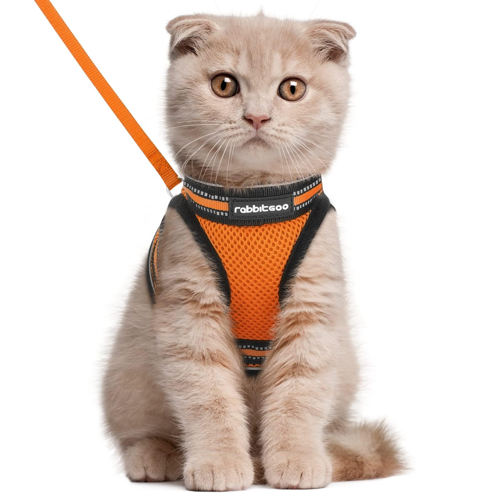 rabbitgoo Cat Harness and Leash Set for Walking Escape Proof, Adjustable Soft Kittens Vest with Reflective Strip for Cats, Comfortable Outdoor Vest, Black, Small — view 27