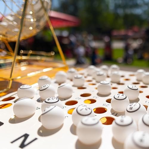 Miniatura 9 de Color Blanco Doble Número Bingo juego de pelota por el Sr Fichas Inc