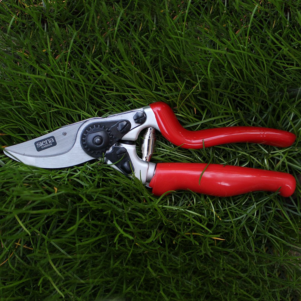 Siena Garden 691518 Premium Bypass à effiler de 7 RG