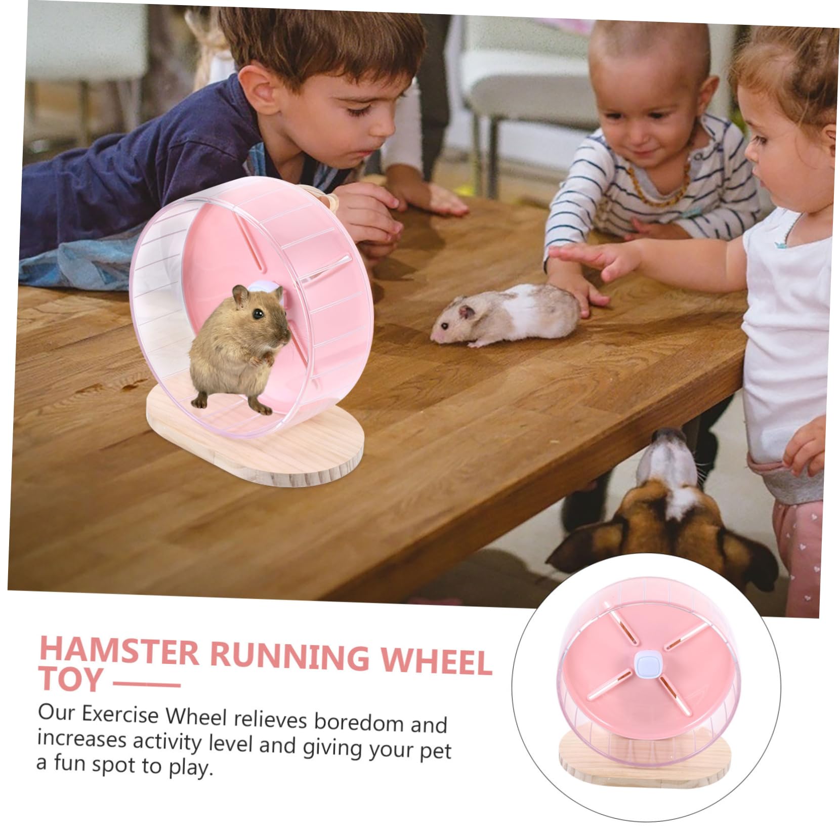 Abaodam Ruota da Corsa Silenziosa per Criceti 20cm Base in Legno e Abs Giocattolo per Piccoli Animali Allenamento e Gioco per Hamster