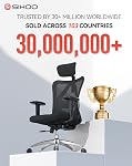 SIHOO Fauteuil de bureau ergonomique chaise de bureau en informatique, appuie-tête réglables Fauteuil et fauteuil en mesh d'accoudoir (Noir)