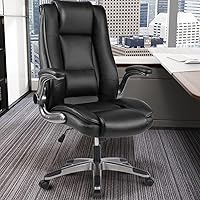 Vista 1 de REFFICER - Sillas de oficina ejecutivas, silla ergonómica de escritorio de oficina con respaldo lumbar, silla de computadora para el hogar
