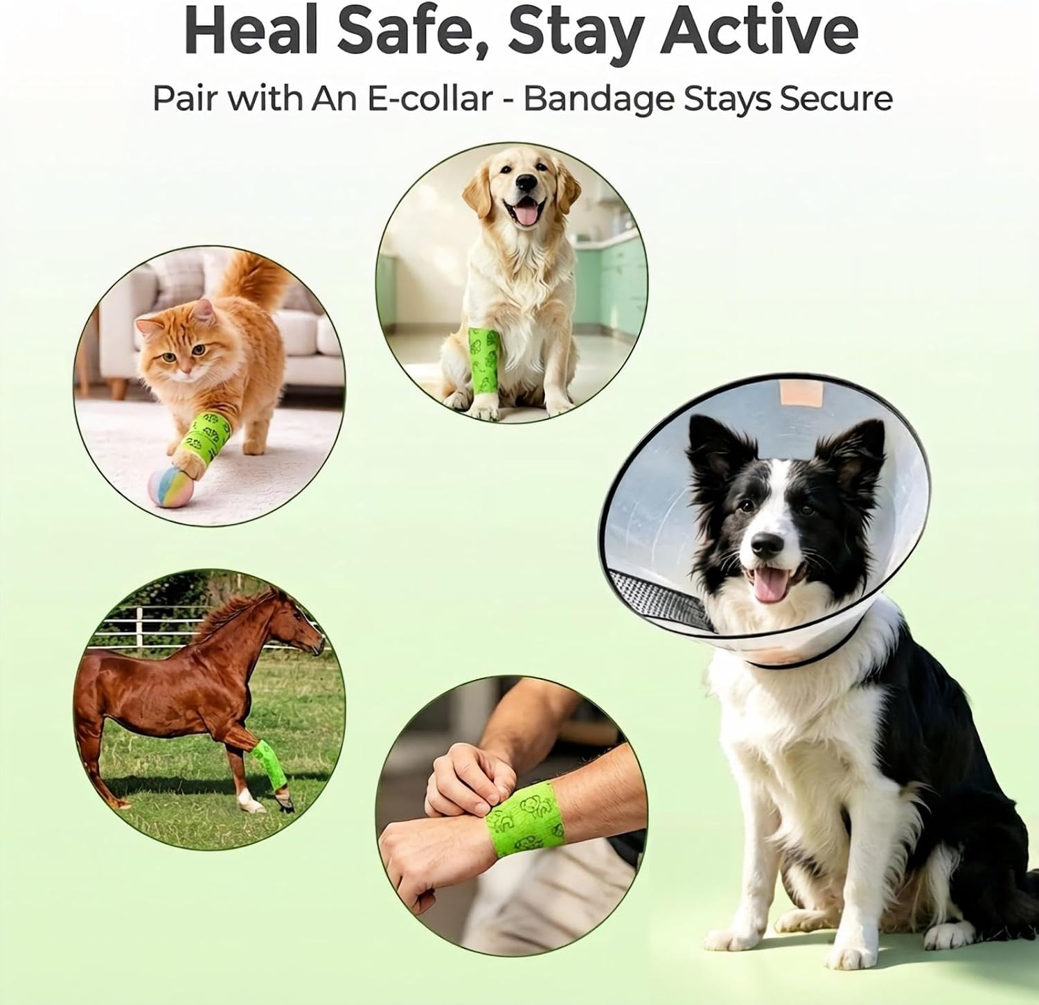 6 Rolls Quibra Vet Wrap,Self Adhesive Bandage Wrap,Stop Licking Wound Care