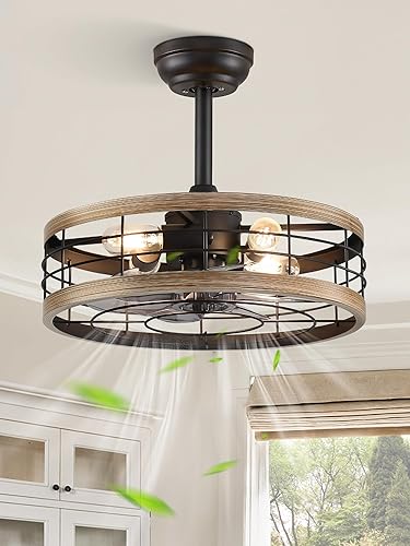 Miniatura 17 de LEDIARY Ventilador araña de techo enjaulado de 20 pulgadas con luz, ventilador de techo sin aspas con control remoto, luces de ventilador estilo