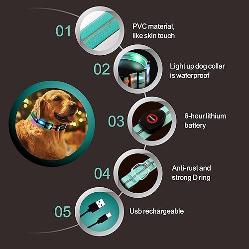 Miniatura 4 de Collares de perro con luz LED, collar de perro con luz LED, collar de perro brillante recargable por USB con impermeable, collar de seguridad
