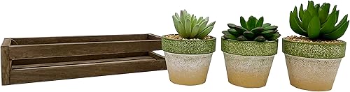 Miniatura 2 de Admired By Nature 3 piezas suculentas terracota estilo rústico con bandeja de madera para interiores primavera verano decoración de plantas