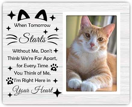 Cat Memorial Gifts for Loss of Cat Memorial Picture Frame Passed Away Cat Memorial Gifts Wood Picture Frame for 4x6 Inches Photo Sympathy Decor for Cats Owner in Memory of Pet