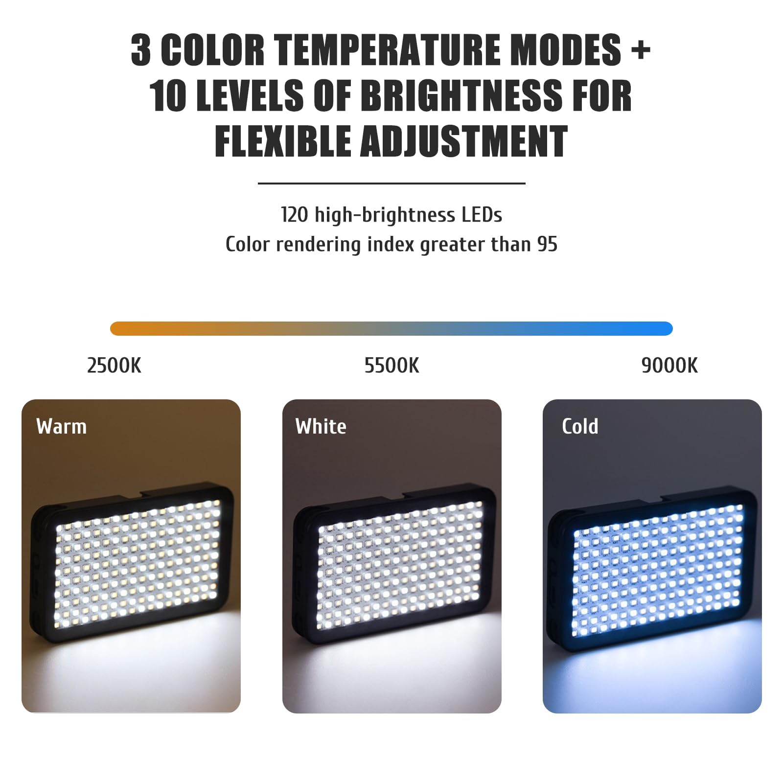Kit Lumière LED pour Tatouage avec Filtre CPL 52mm Anti Reflets, Idéal pour Créer du Contenu TikTok Youtube Compatible avec Smartphone Tablet et Appareil Photo
