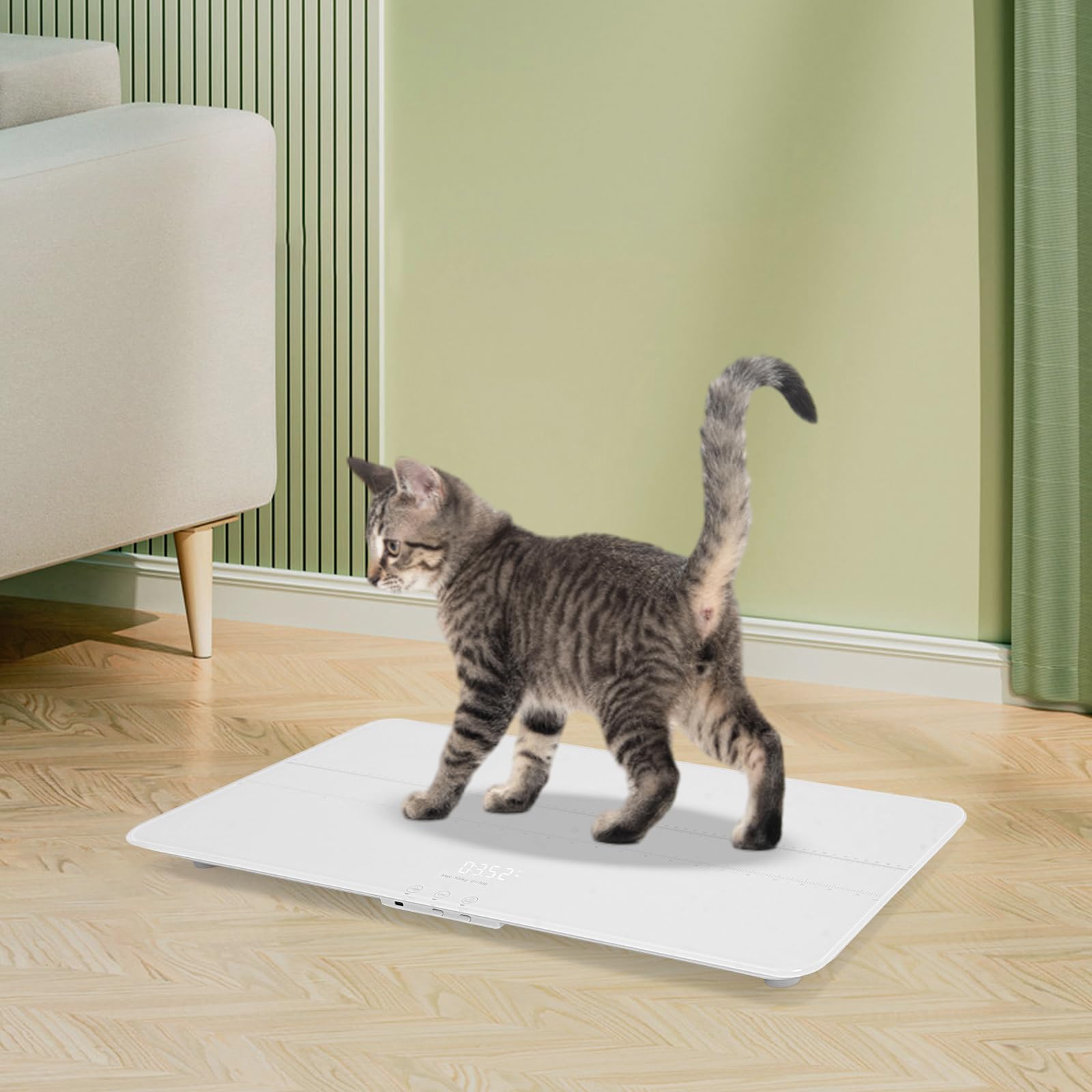 Bilancia digitale per animali domestici per cani e gatti, bilancia per animali con indicatore LED, grande bilancia per cani, fino a 220 libbre, versione ricaricabile, 3 modalità di pesatura, kg, st