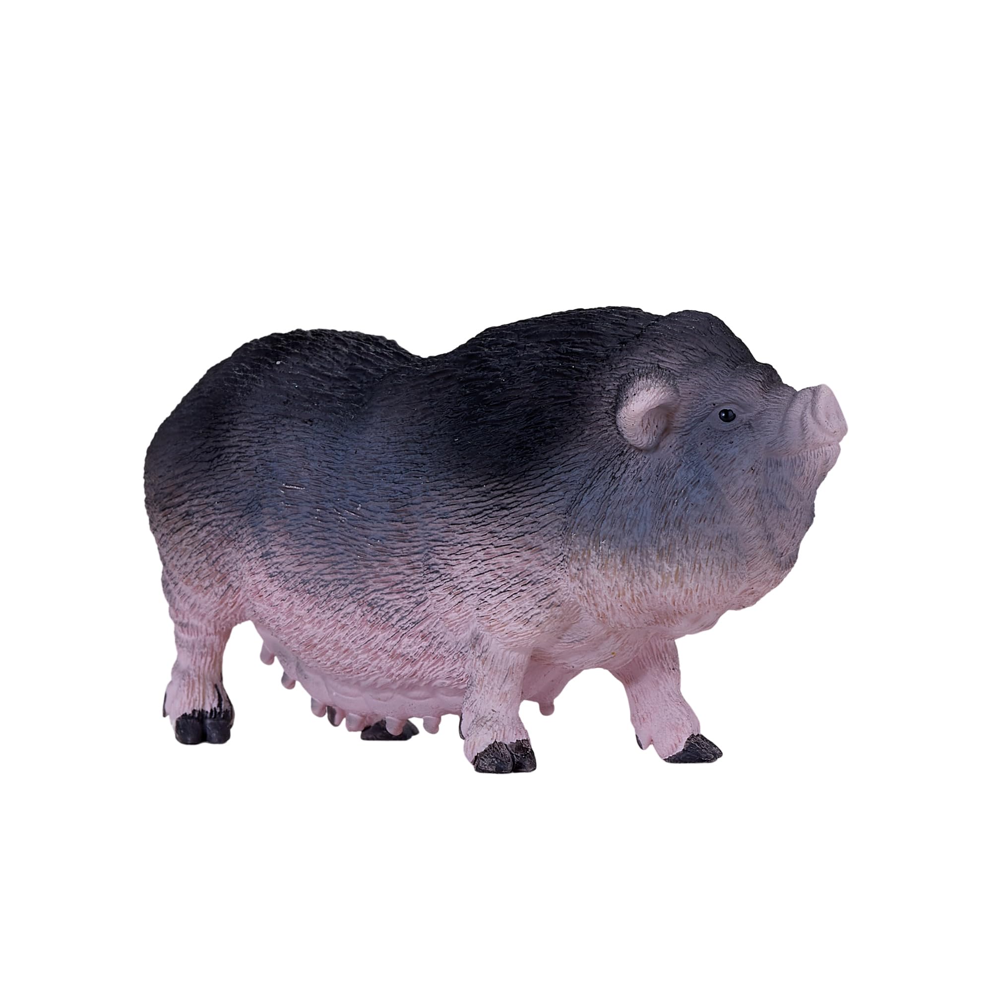 MOJO - Pot Bellied Pig, Multicolor - Image 4