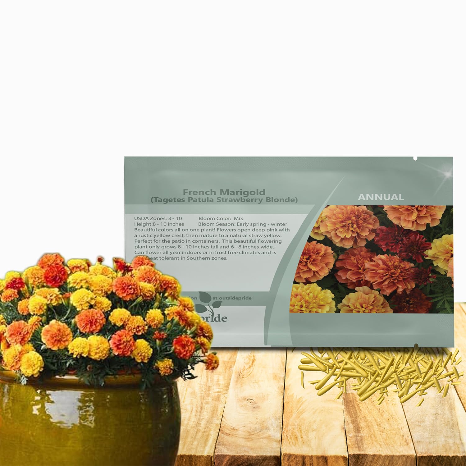 plant tiger lily bulbs Flore Pleno Lily main image 0