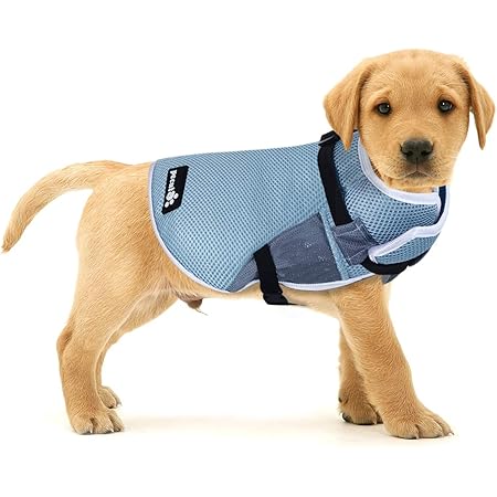 protection dog harness