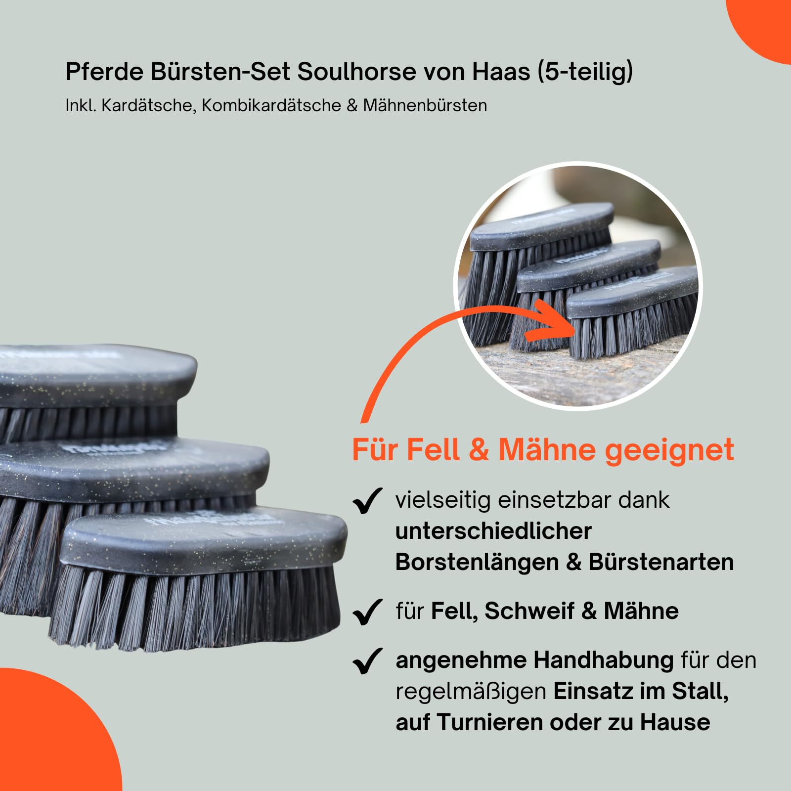 RL24 - Pferde Bürsten-Set Soulhorse von Haas (5-teilig) – schwarz | inkl. Kardätsche, Kombikardätsche & Mähnenbürsten – entfernt Staub, groben Schmutz & Haare – Pferdezubehör
