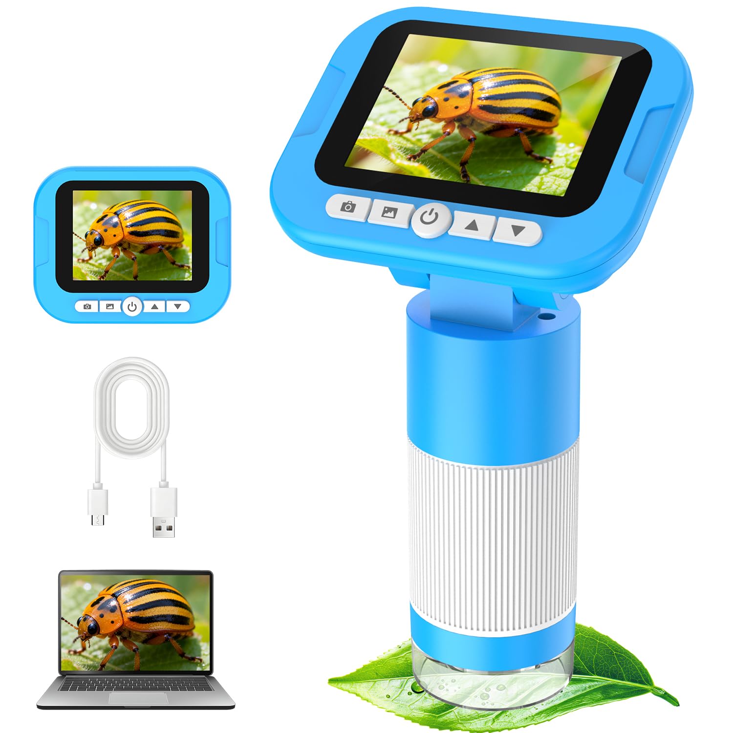 FINIBO Digitales Mikroskop für Kinder 1000X, 2,4″ Bildschirm, Kindermikroskop zum Lernen & Entdecken, mit USB Foto- & Videoaufnahme, Spielzeug ab 6 Jahre Jungen & Mädchen