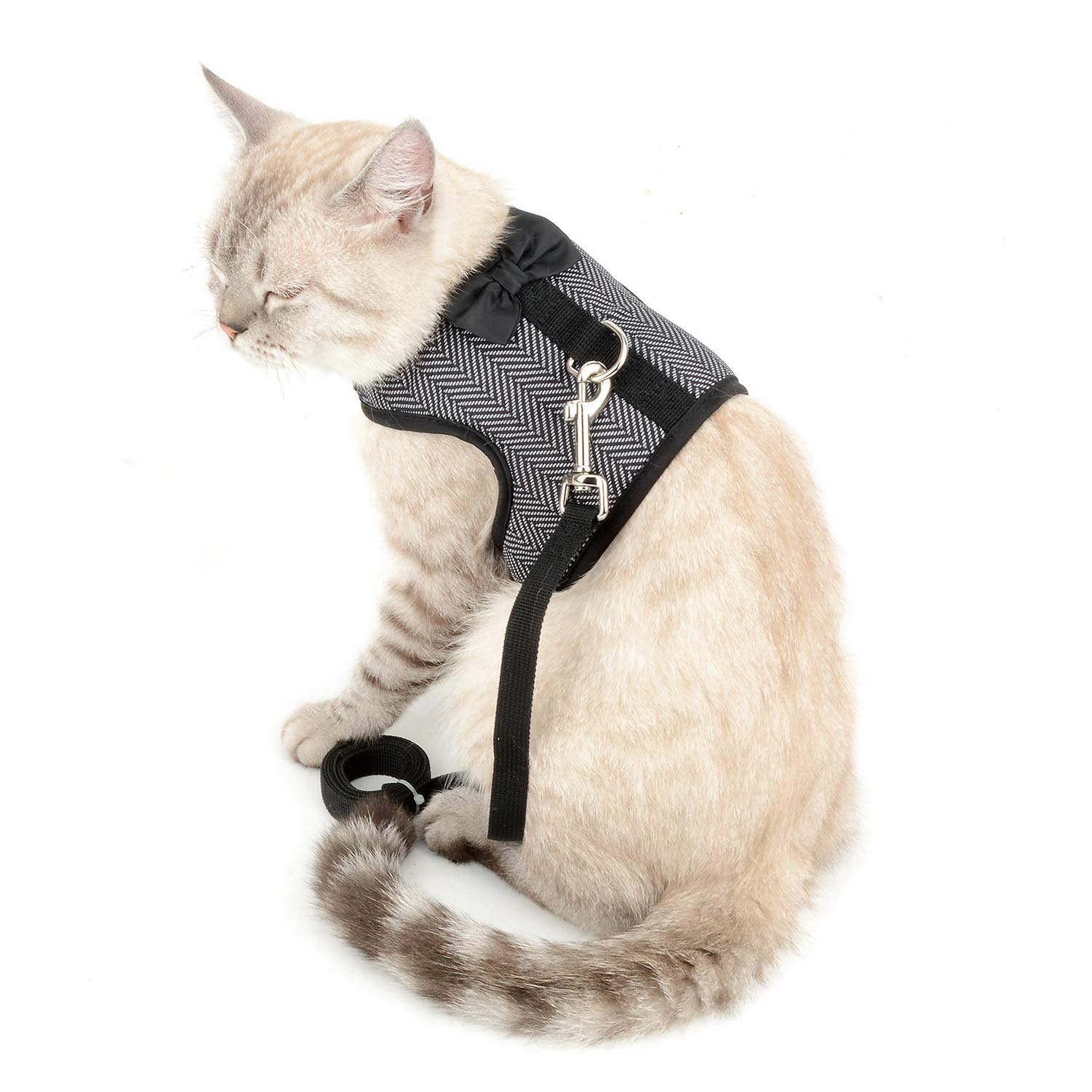 猫服と青いハーネス、首輪、リードセット(おまけ付き) Amazon | ぽぽねこ 猫に優しいベスト型ハーネス・リード付き