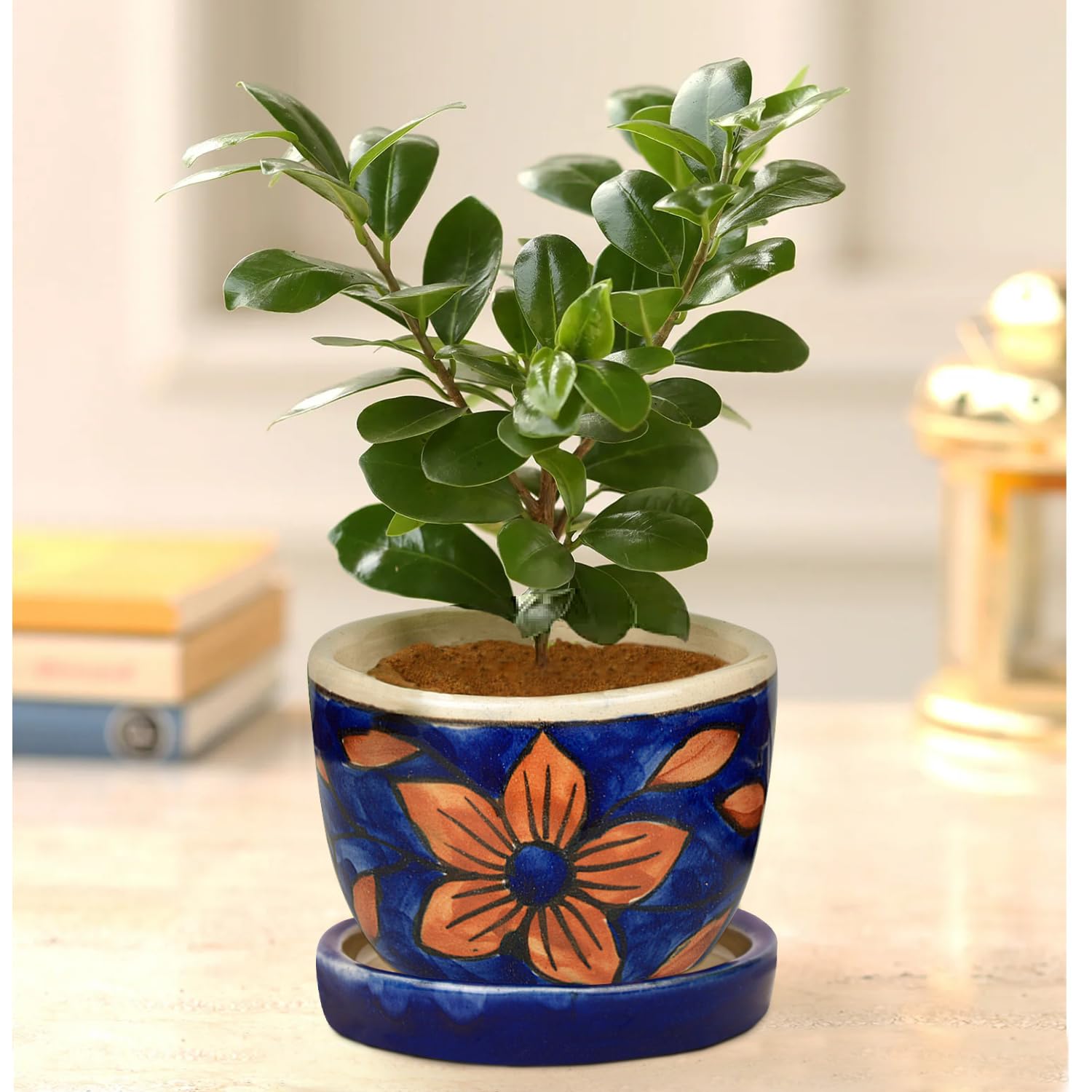 StyleMyWay Hand Painted Ceramic Planter Pot with Tray (Blue and Brown, Diameter - 9 cm, Height - 7 cm) | Indoor & Outdoor Planter | Succulent Pot | Decorative Planter for Living Room and Balcony (B09J2P42X8) Amazon Price History, Amazon Price Tracker