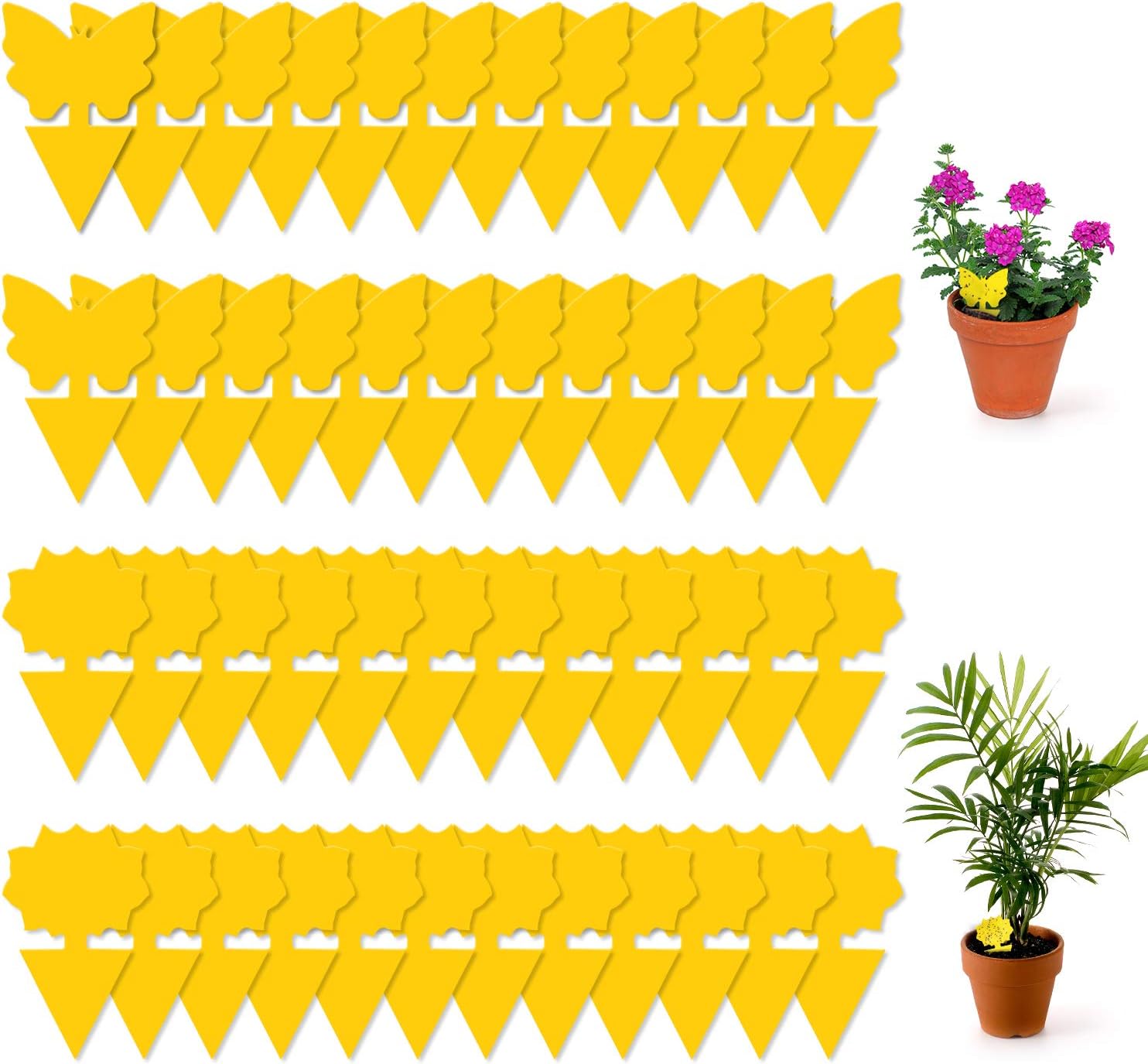 Sticky Fruit Fly Traps Fungus Gnat Killer Trap Gnat Catcher 48pcs Fly Paper Sticker for Indoor House Plant