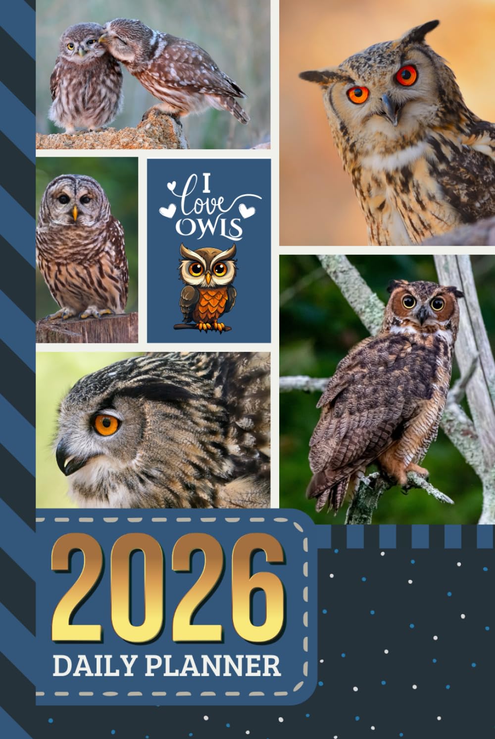 2026 Daily Planner: Hardcover / One Page Per Day / 6x9 Dated Organizer With Hourly Diary - 1 Hour Time Slots / To Do List / Notes Section / Scheduling Gift / Owl - Bird Animal Art Cover