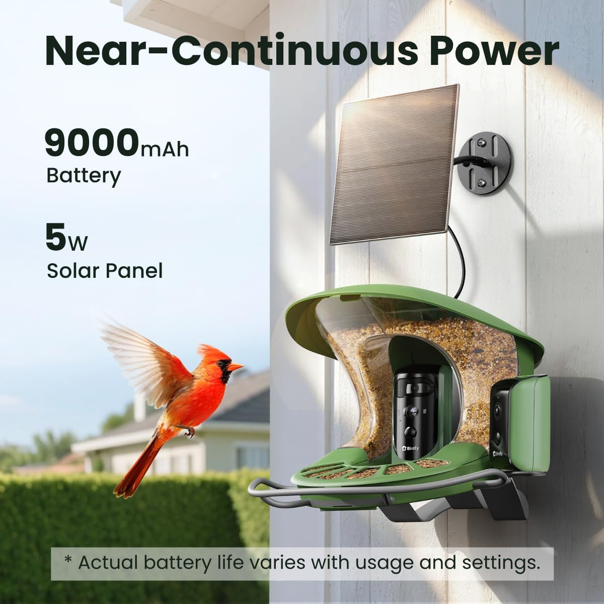 Birdfy 2 Smart Bird Feeder with Camera, AI Identifies Bird Species, 2K Dual-Lens + Side HD Camera for Live Streaming & Feeding View, Solar-Powered Backyard Birdwatching Gift Present - Image 11