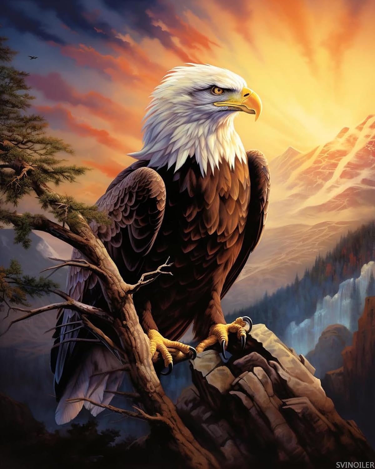 SVINOILER Paint by Numbers Eagle for Adults, Acrylic Oil Painting by Numbers Kits for Beginner with Paintbrushes Brushes Art Crafts Canvas for Home Decor 16x20 inch