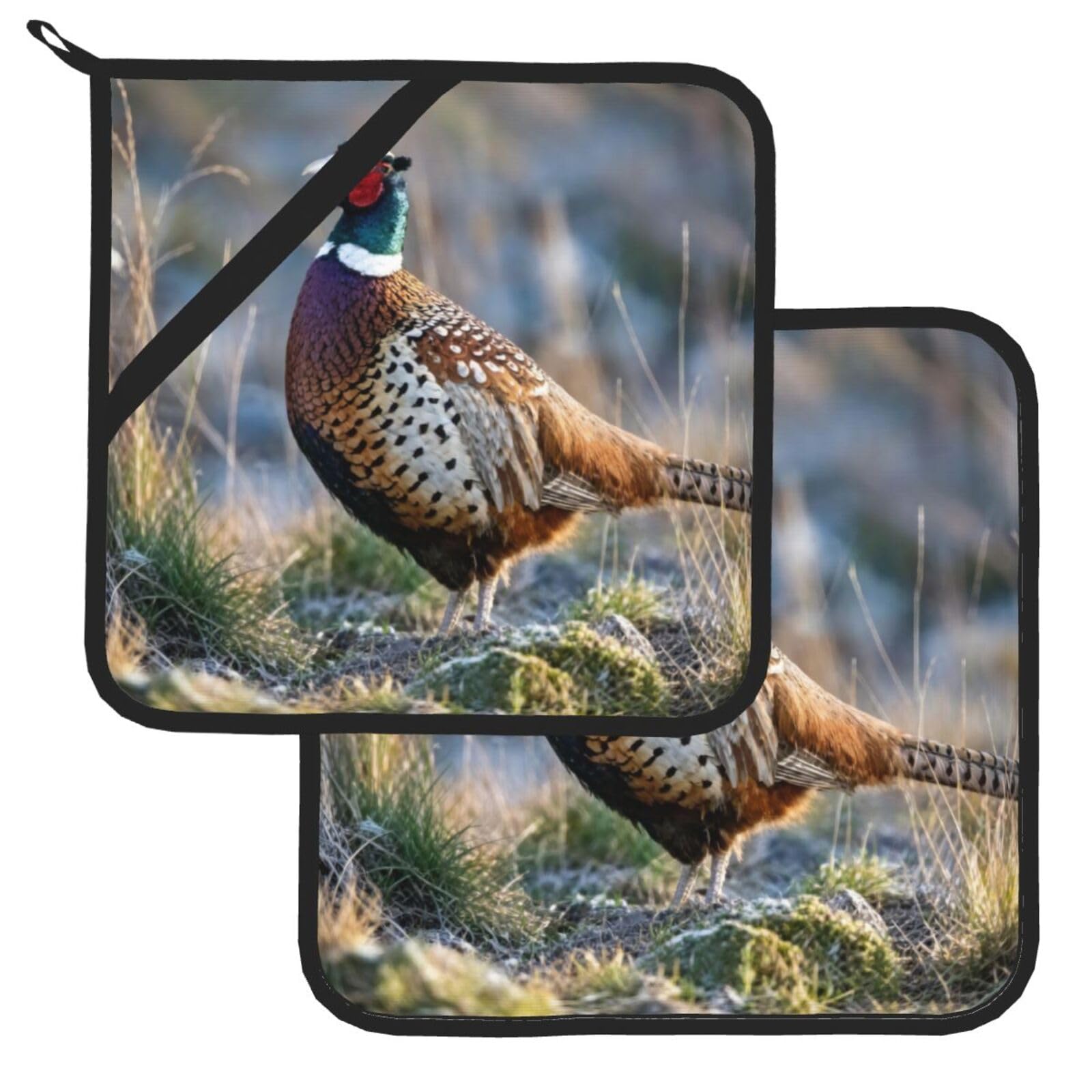 Pot Holder Set of 2 Heat Resistant Kitchen Potholders Pheasants Animals Pot Holders Kitchen Trivets with Hanging Loops Washable Oven Hot Pads for Cooking Baking BBQ
