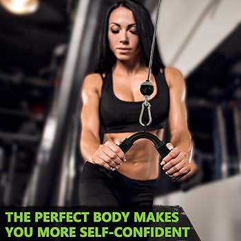 アメリカンバーベル 回転式 Vバー プレスダウン ケーブルアタッチメント アメリカンバーベル 回転式 Vバー プレスダウン ケーブル