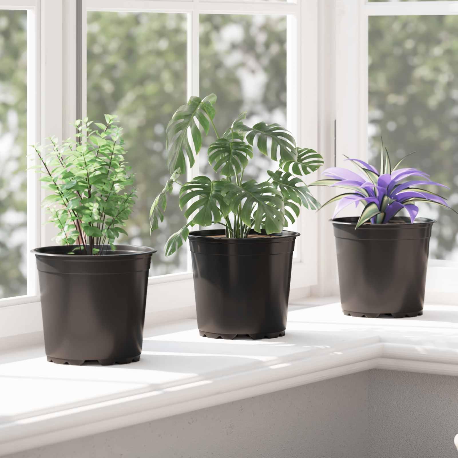 Schwarzer Kunststoff Blumentopf mit Entwässerungslöchern, 15x15x13 cm, ideal für Innen und Außen Model42029494