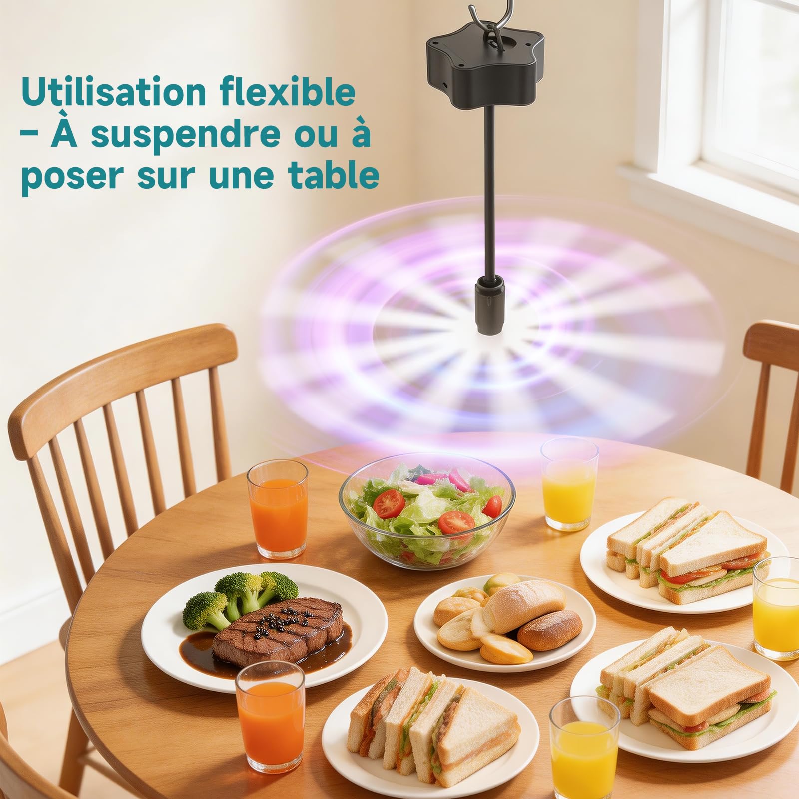 Ventilateur Anti-Mouches 4 Pièces, Rechargeable par USB, Ventilateur Portable pour Terrasse, Jardin, Restaurant, Pique-Nique – Protection Efficace Contre Les Insectes Volants