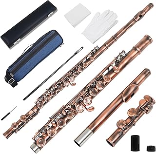 16 Hole Antique Flute Set Professional C Key Horizontal Flute With BackpackGloves flute instrument (Color : Antique)