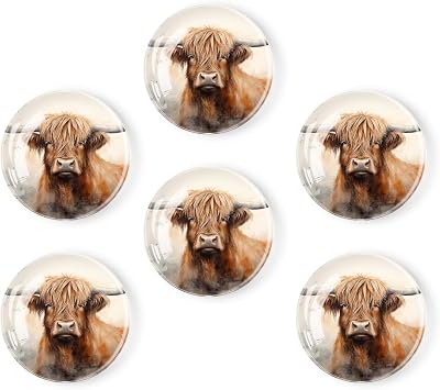 6 Pcs Glass Fridge Magnets, Cute Fridge Magnet Sticker, Heavy Duty,Watercolor Highland Cow Colorful