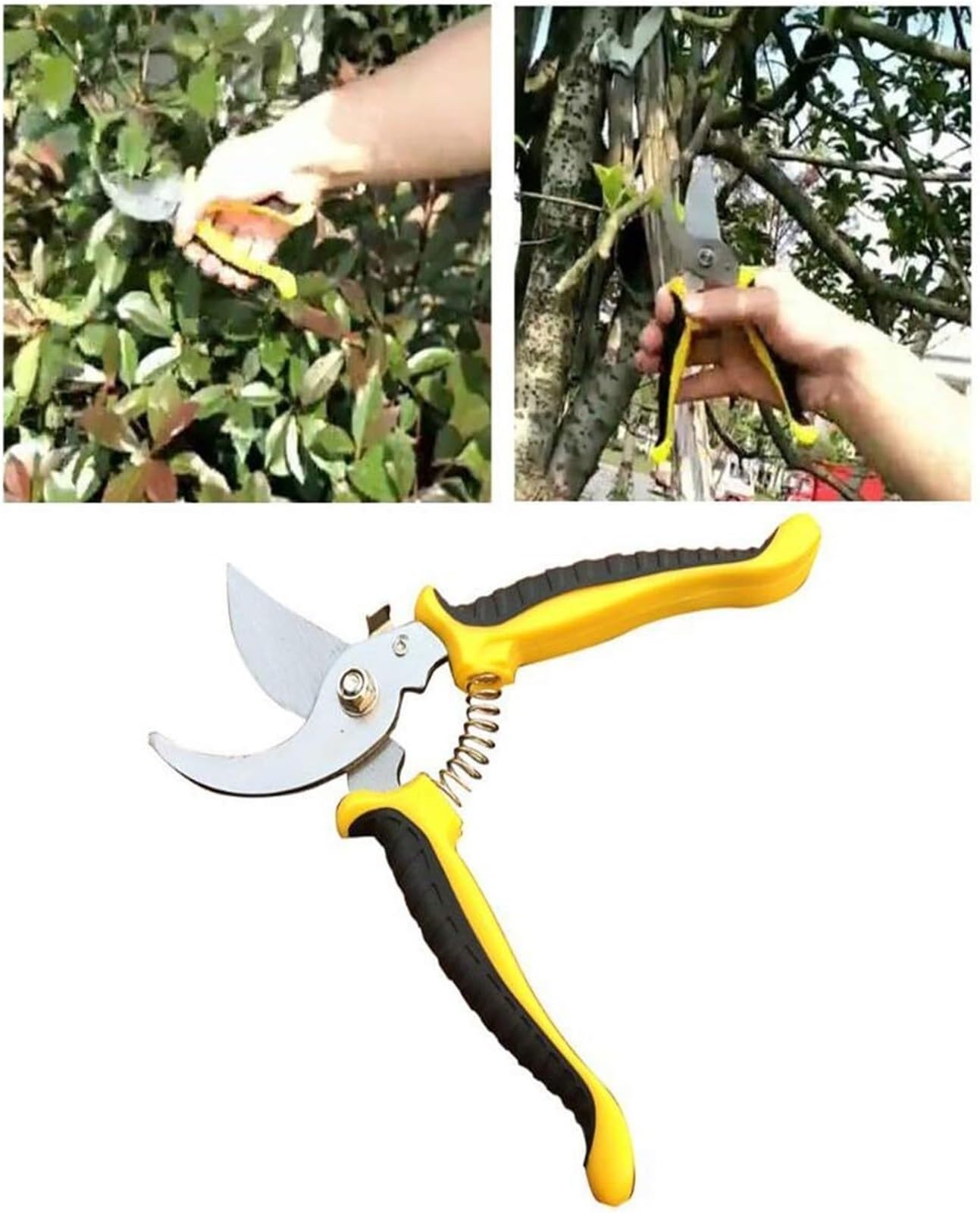 Gartenschere, Leichte Hand-Gartenschere aus rostfreiem Stahl for glatte und saubere Schnitte, professionelle Gartenschere for Schneiden von lebenden Blumen, Pflanzen leichten Ästen, Heimwerkzeuge
