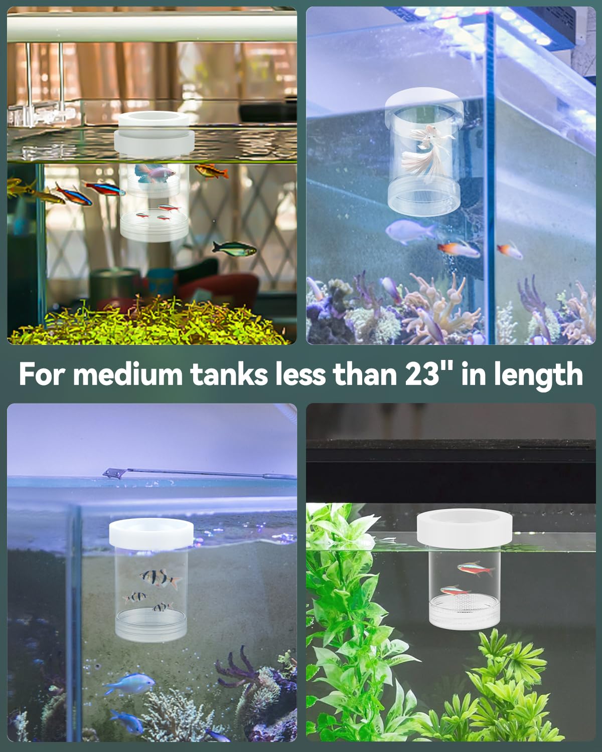 Pawfly Scatola per Riproduzione per Acquario, Box Galleggiante per Guppy, Separatore per Avannotti, Incubatrice in Plastica per Gamberetti, Betta e Pesce Pagliaccio, Medio