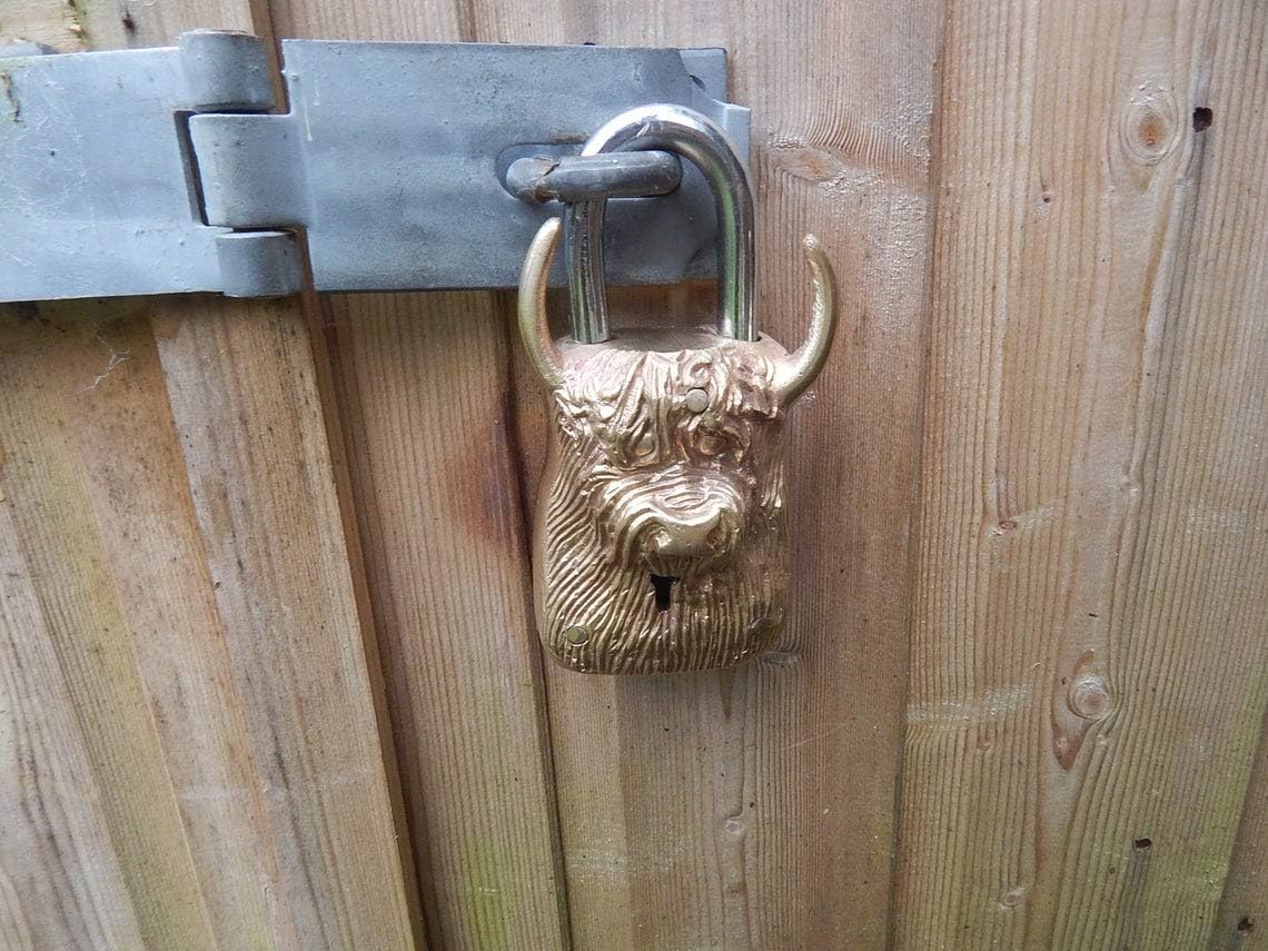 Brass Padlock Home Office Decor (Highland Cattle Padlock)