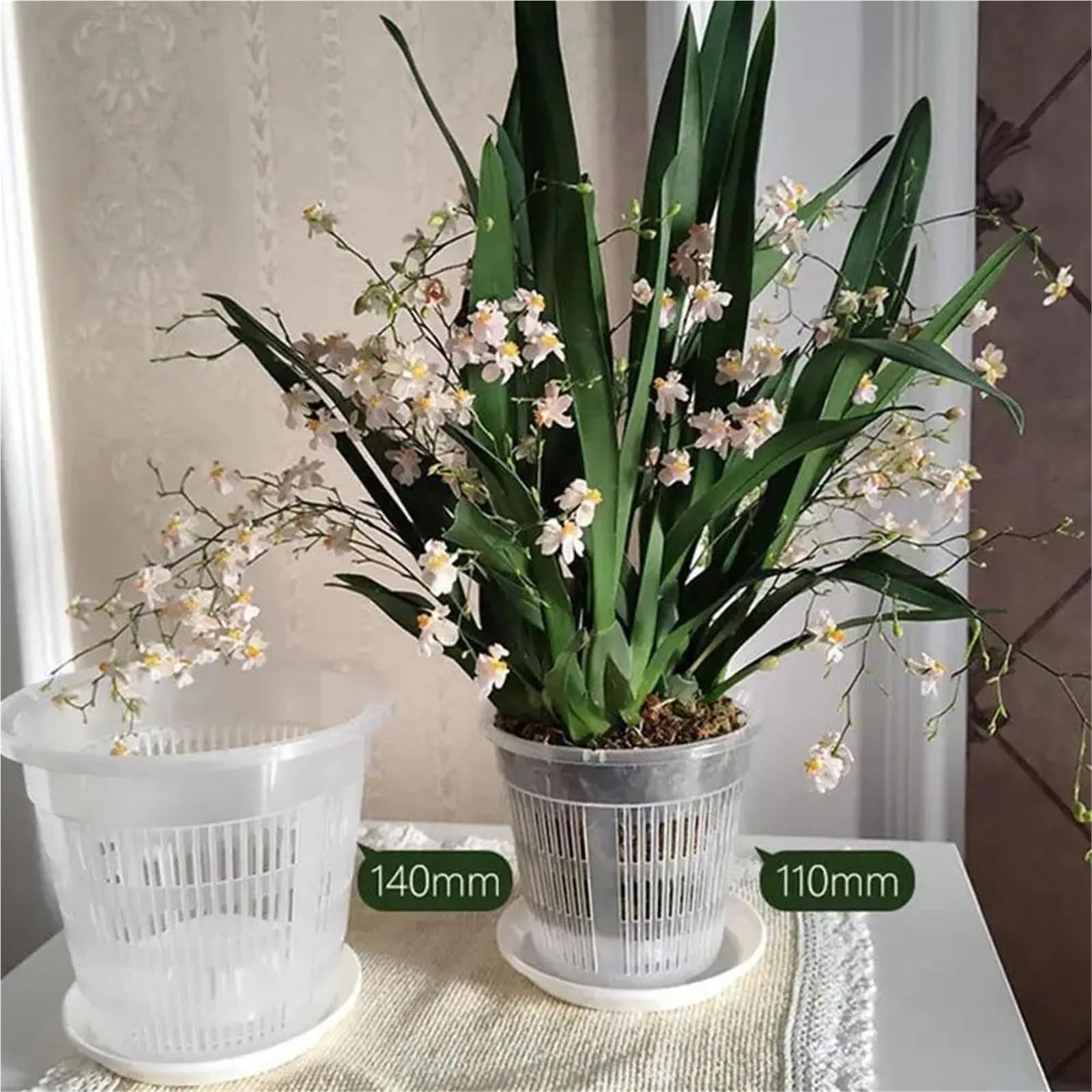 Przezroczyste plastikowe rośliny Doniczki do storczyków Rośliny doniczkowe 11-19 cm, opakowanie 5 sztuk(16cm)