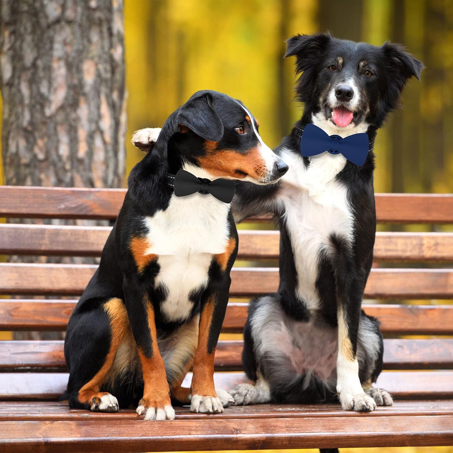 Winsee Airtag Case for Dog Collar 2 Pack, Bowtie Cute Pet Airtag Holder for Apple GPS Tracker, Soft Silicone Airtag Cover for Cat Puppy Small Medium Large and Extra-Large Dogs(L-XL,Black&Deep Navy)