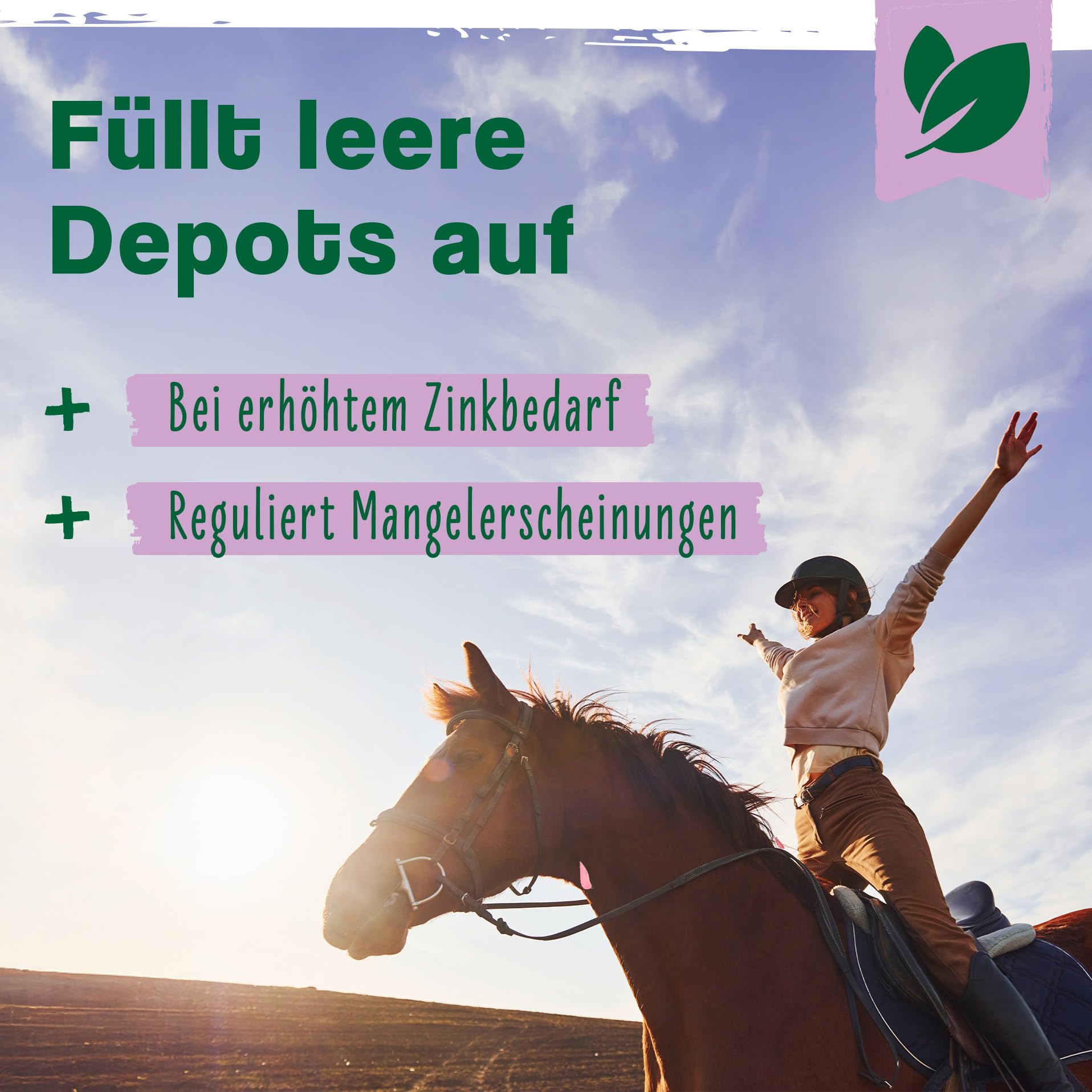 Ida Plus Biotin + Zink - Rundumversorgung – hochdosiert – VERGLEICHSSIEGER – Premium Zink für Pferde - verbessert Hufqualität - für Haut, Fell & Immunsystem - bei Mauke, Hufproblemen & mehr - 750g