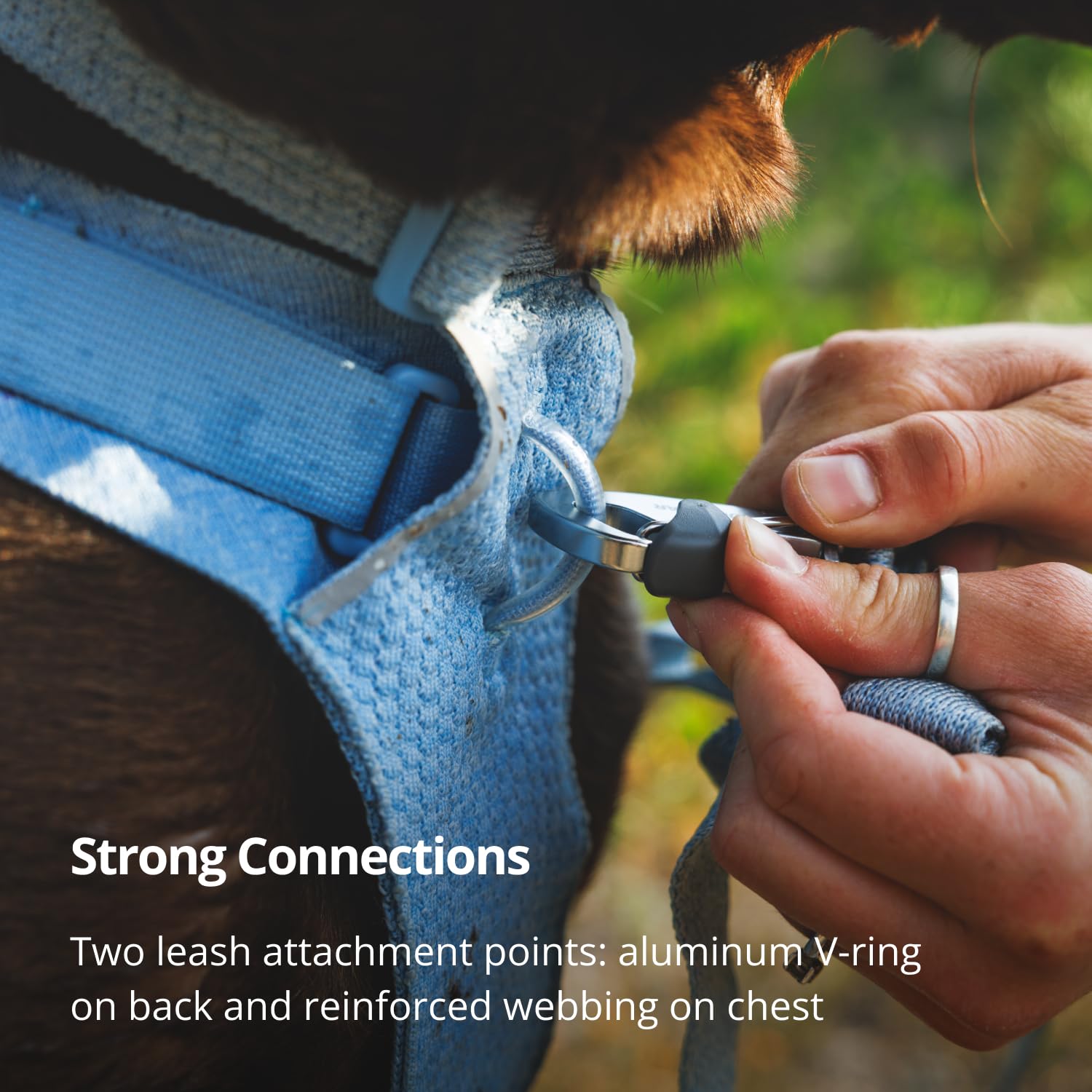 Amazon | RUFFWEAR(ラフウェア) フロントレンジフレックスハーネス