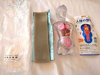 人体の世界 人体解剖模型 ジョシアン・ミニ 半券付き 71z48zLQJZL._UF350,350_QL50_.jpg