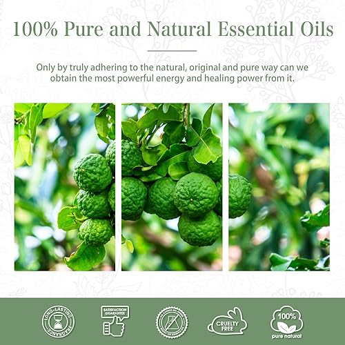 Miniatura 6 de Aceite esencial de bergamota de 3.38 onzas líquidas, para difusores de aromaterapia, humidificadores, ideal para hacer velas y jabón, enorme botella