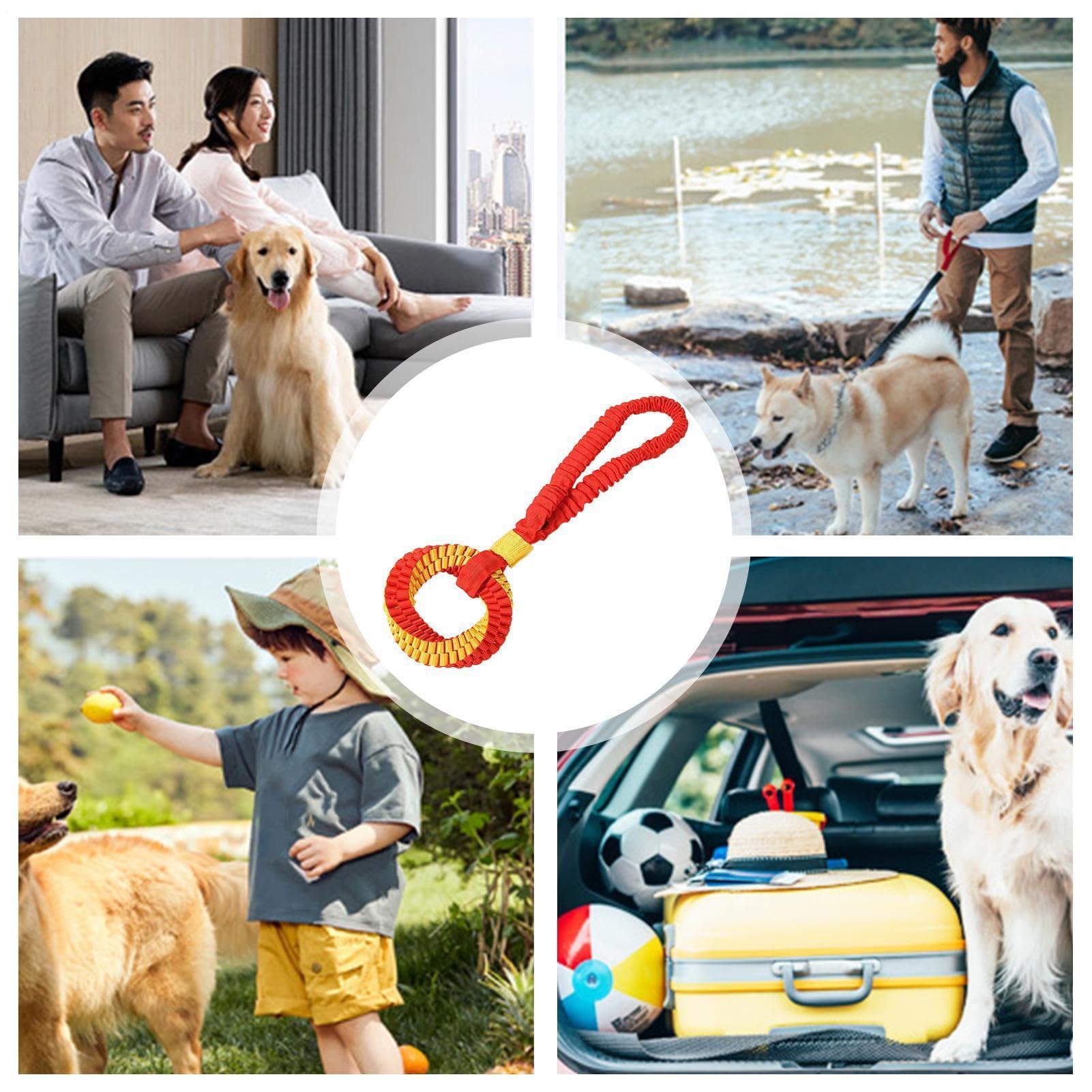 Hundespielzeug, interaktives Zahnungsseil, Ringspiel für Haustiere